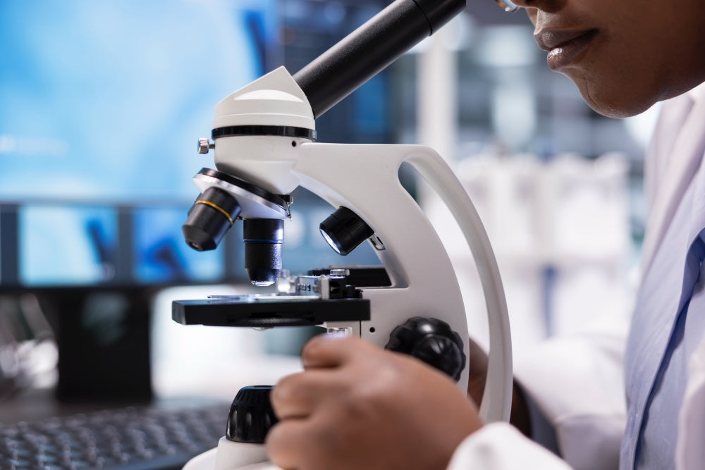 Autophagy Explained: How Your Cells Clean Themselves