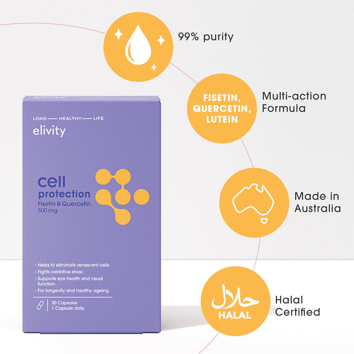 cell protection - Fisetin, Quercetin, Lutein
