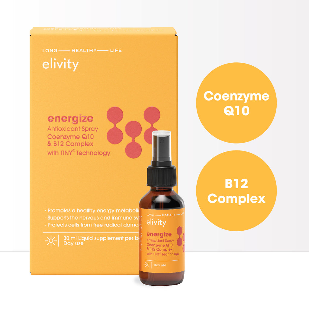 Energy Life EXTRA 300ml 2本 エドックス グランドオーシャン 300m防水 メンズ 88002-3CA-NIN
