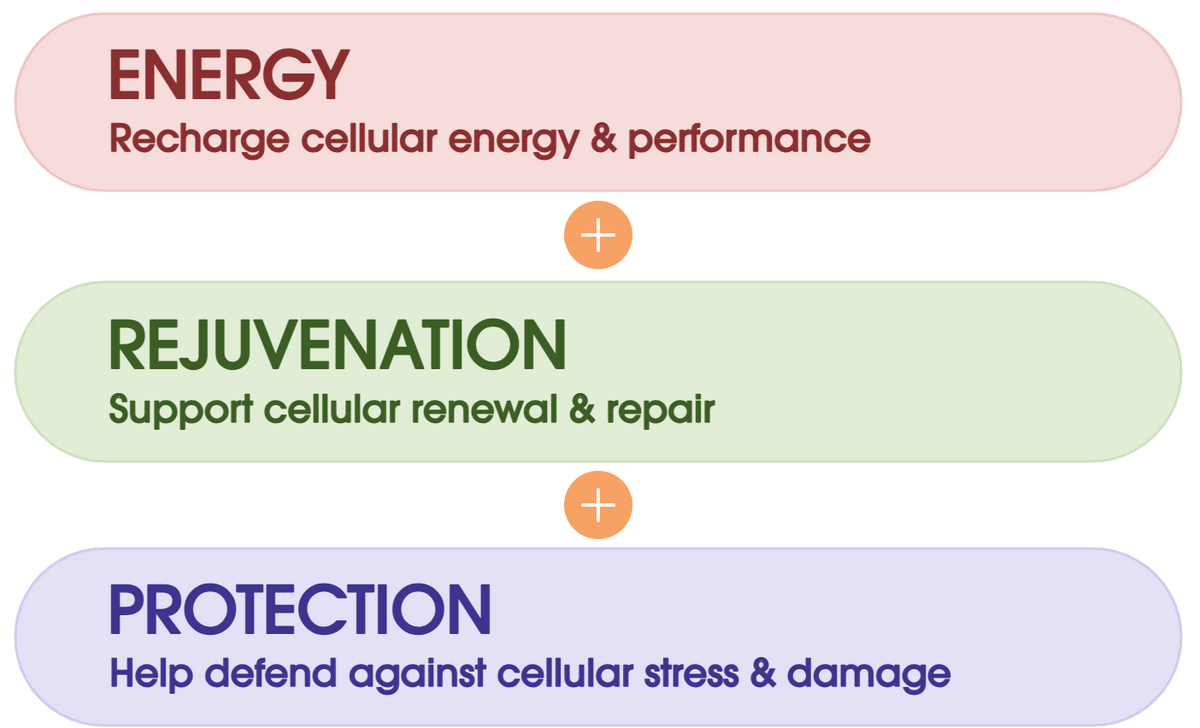 Energy, Rejuvenation, Protection