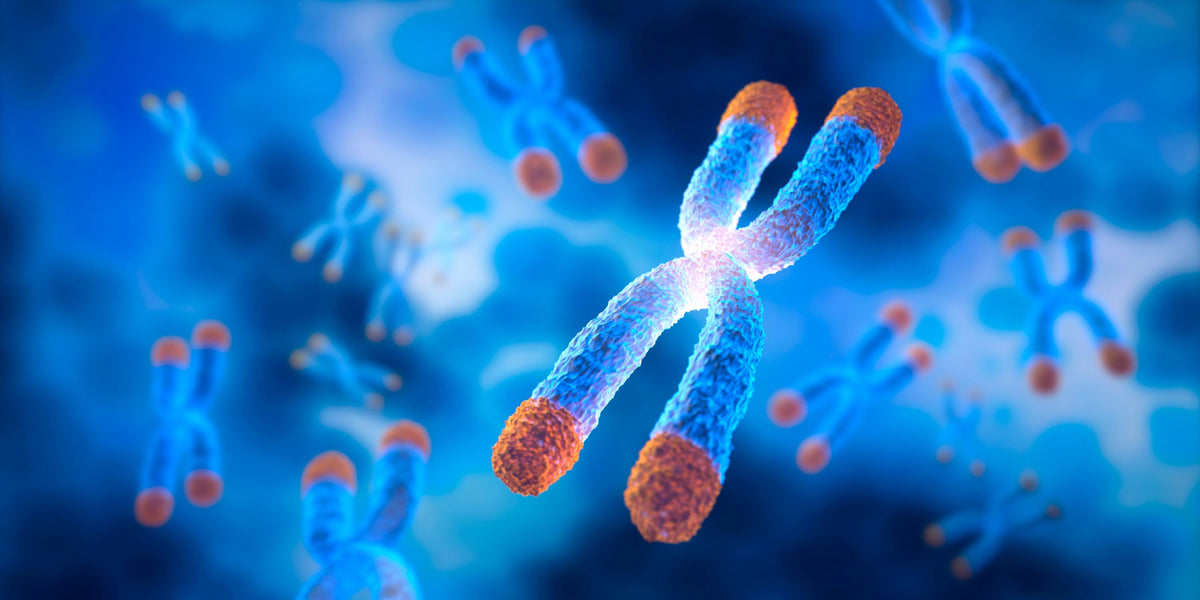 Telomeres – elivity®